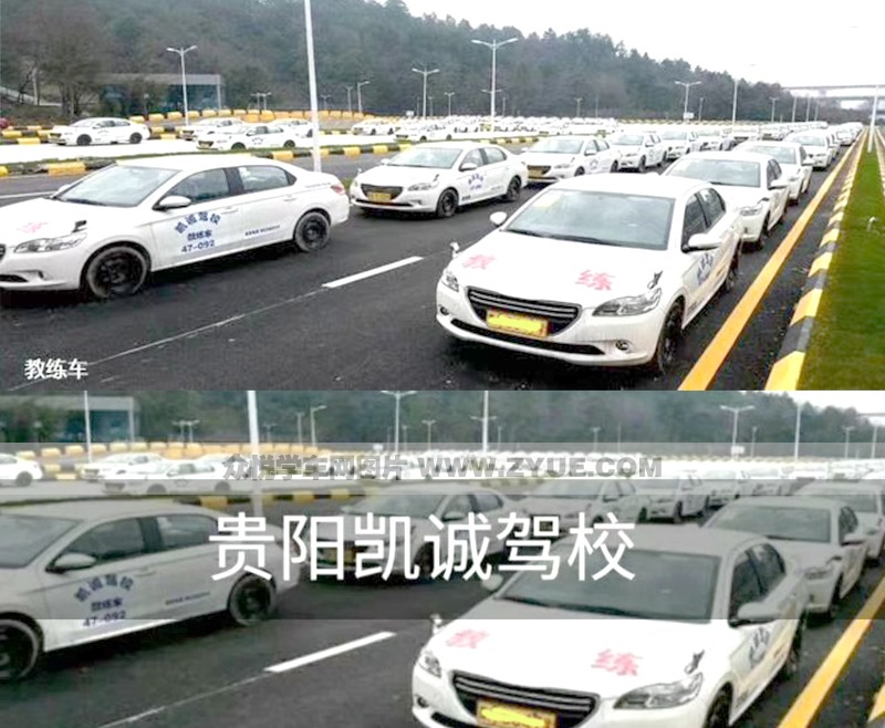 訓練車型