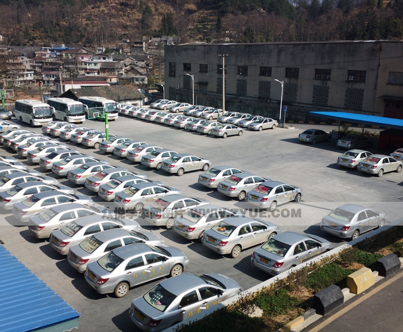 凱信駕校訓練車型