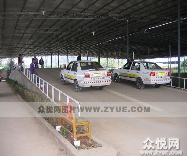 萬能駕校風采6