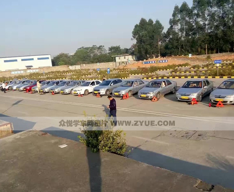 農興駕校教練車
