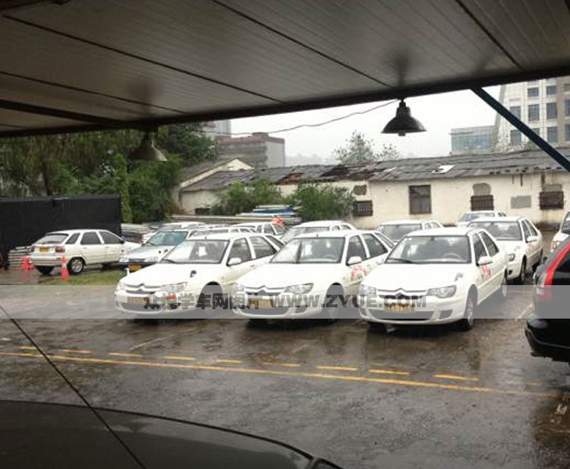 紳寶駕校訓練車一覽