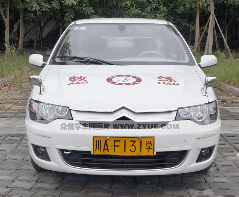 市振中駕校訓練車型