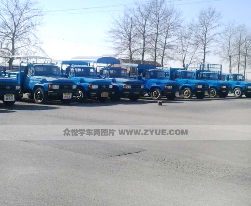 南開駕校訓練車型