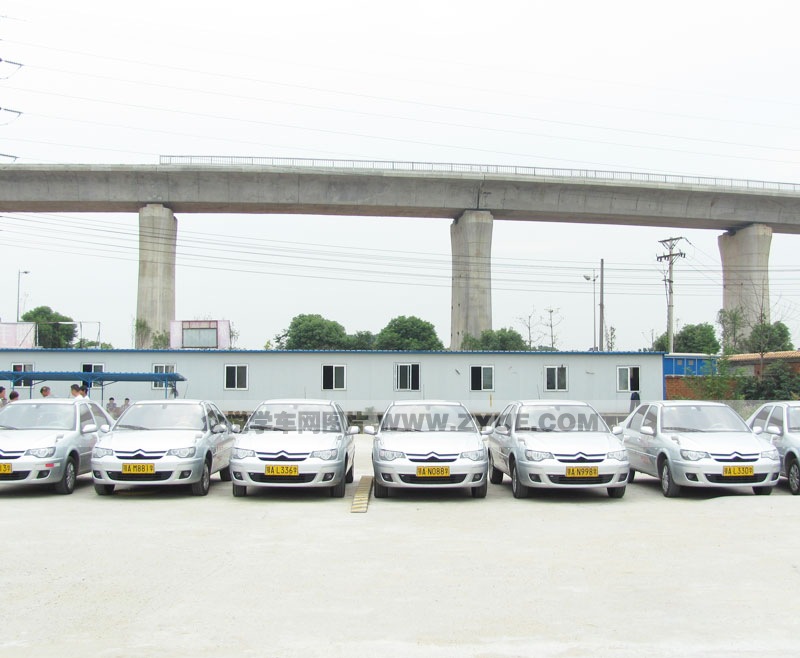 港口駕校訓練車型