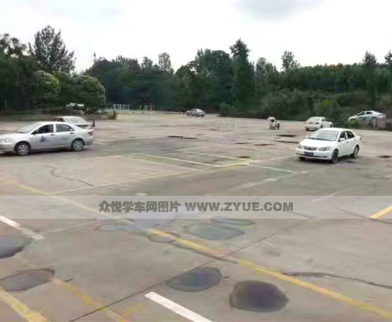 金源駕校風采