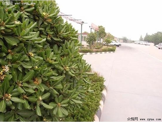 揚中駕校風景